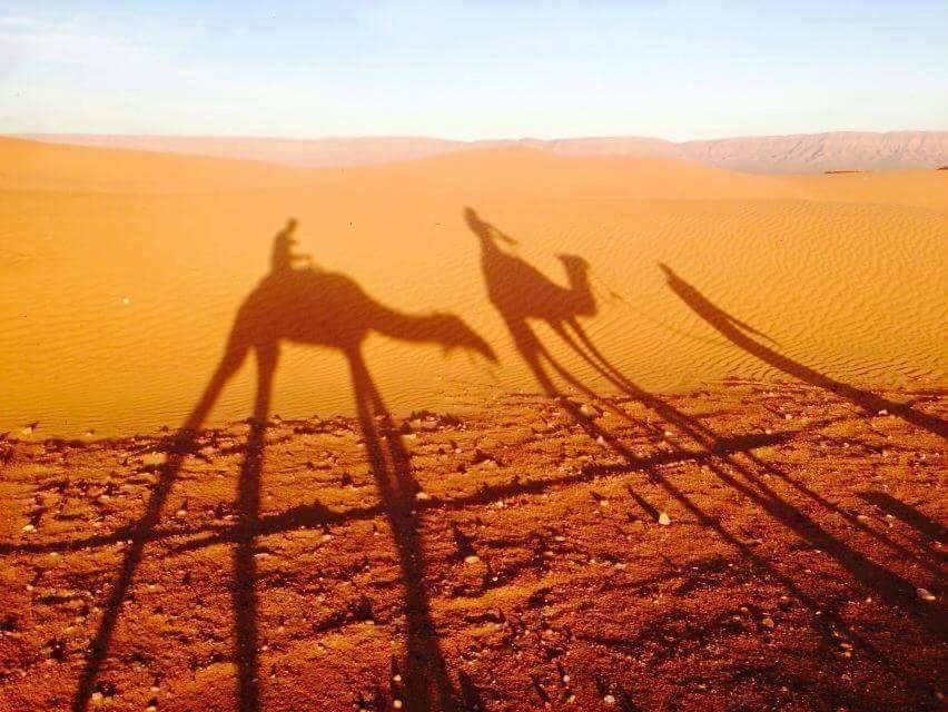Tinfou desert camp Brija Eksteriør bilde