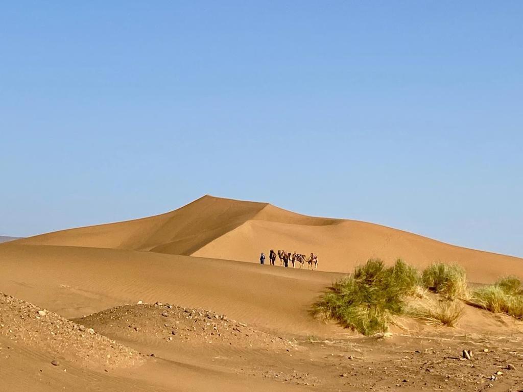 Tinfou desert camp Brija Eksteriør bilde