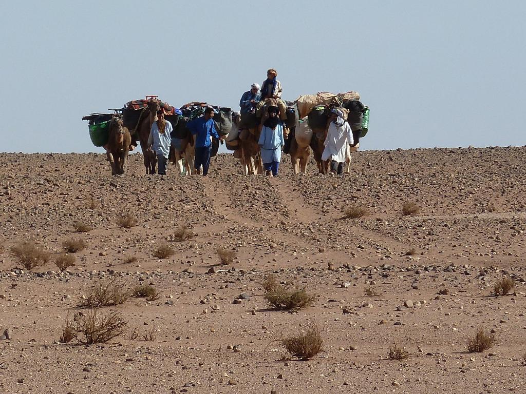 Tinfou desert camp Brija Eksteriør bilde